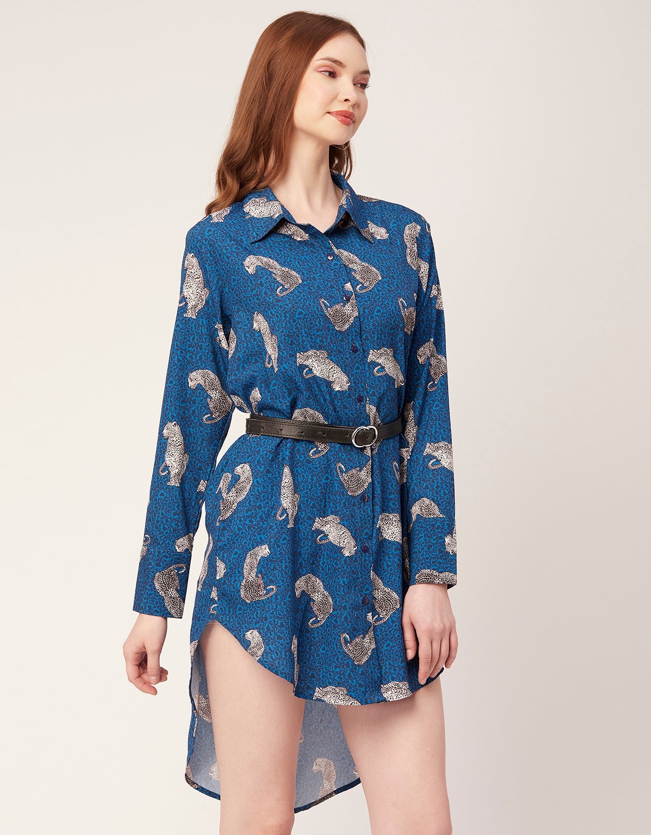 Long Collared Hem Dress