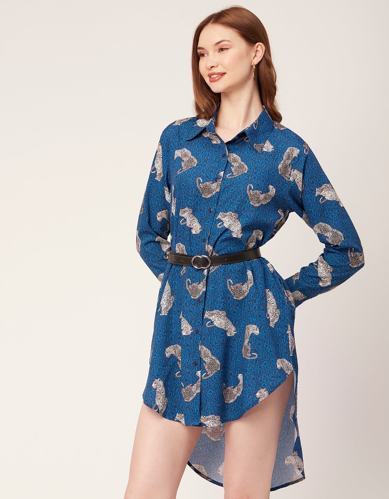 Long Collared Hem Dress